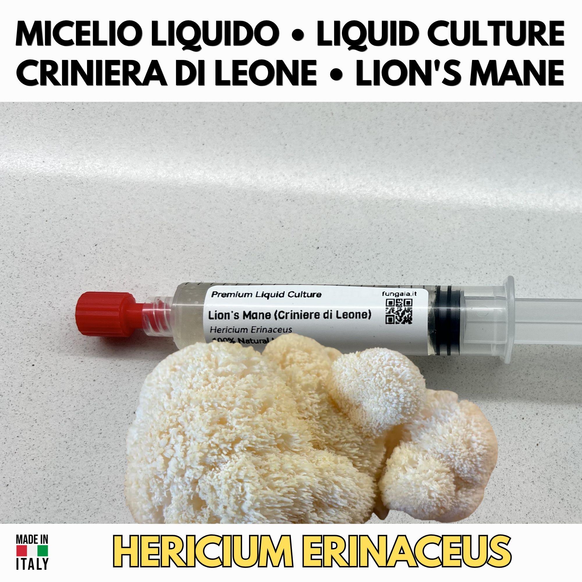 Kit Coltura Funghi Wellness Tradizionali. Wellness Pack 5 Colture Liquide. Lion's Mane | Reishi | Cordyceps | Turkey Tail