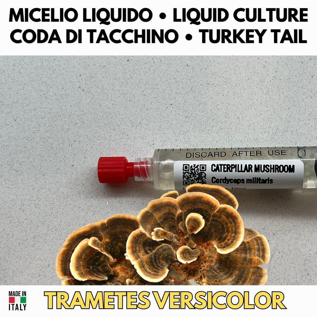 Kit Coltura Funghi Wellness Tradizionali. Wellness Pack 5 Colture Liquide. Lion's Mane | Reishi | Cordyceps | Turkey Tail