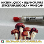 Summer Mushroom Liquid Culture Bundle – 5 LC. Pink Oyster  | Golden Oyster  | Wine Cap  | Enoki. Warm Weather Mushroom Growing Kit