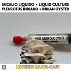 Summer Mushroom Liquid Culture Bundle – 5 LC. Pink Oyster  | Golden Oyster  | Wine Cap  | Enoki. Warm Weather Mushroom Growing Kit