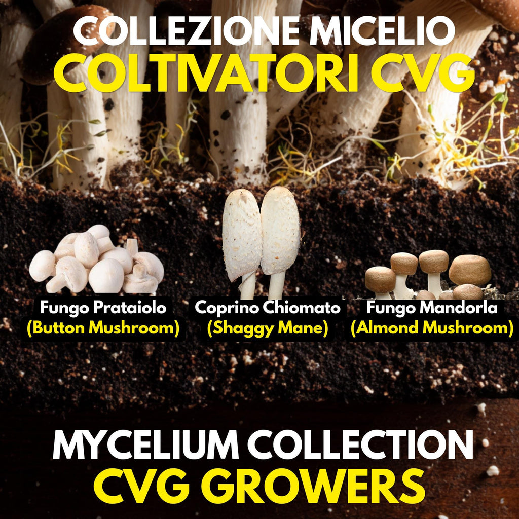 CVG Growers Collection – 3 Colture Liquide | Prataiolo Coprino Fungo Mandorla | Kit Coltivazione Substrato Naturale