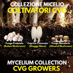 CVG Growers Collection – 3 Colture Liquide | Prataiolo Coprino Fungo Mandorla | Kit Coltivazione Substrato Naturale