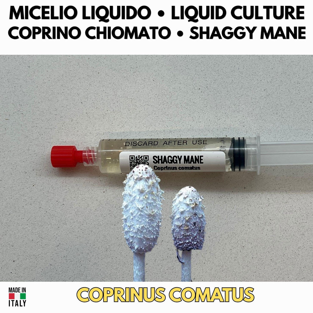 CVG Growers Collection – 3 Colture Liquide | Prataiolo Coprino Fungo Mandorla | Kit Coltivazione Substrato Naturale