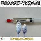 CVG Growers Collection – 3 Colture Liquide | Prataiolo Coprino Fungo Mandorla | Kit Coltivazione Substrato Naturale