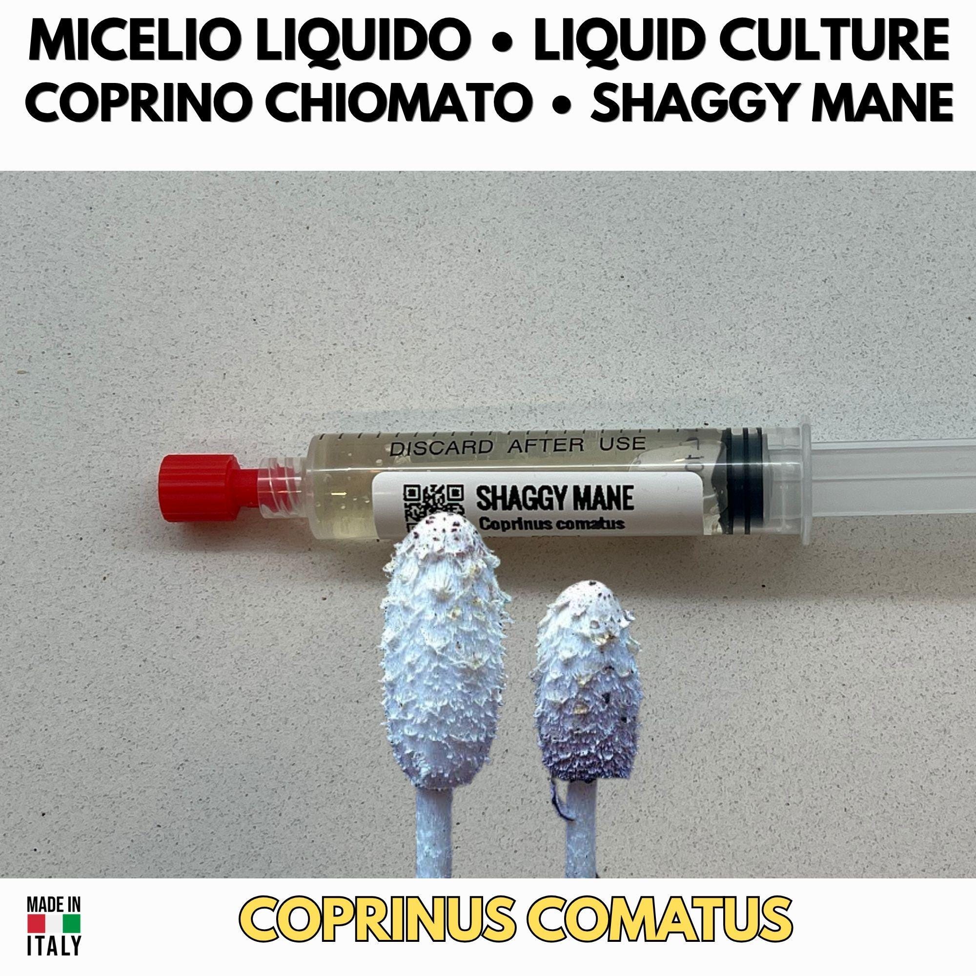 CVG Growers Collection – 3 Colture Liquide | Prataiolo Coprino Fungo Mandorla | Kit Coltivazione Substrato Naturale