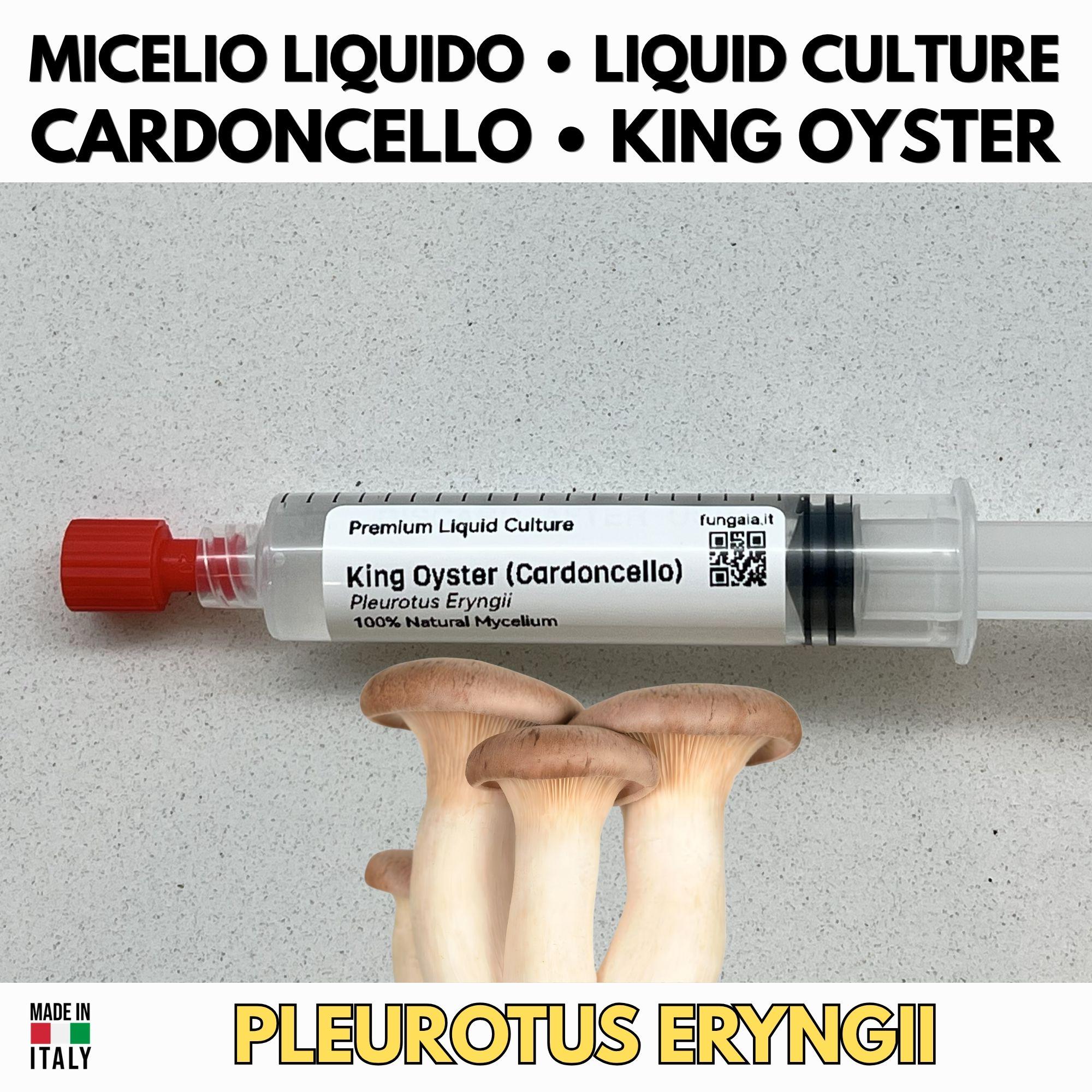 Italian Cuisine Collection – 3 Colture Liquide | Champignon Pioppino Cardoncello | Bundle Funghi Tradizione Italiana
