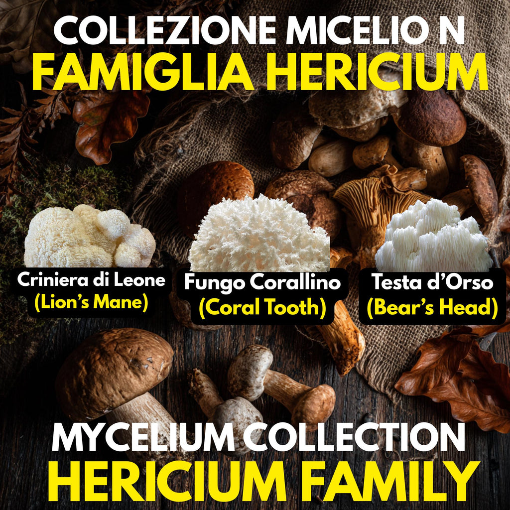 Hericium Collection – 3 Liquid Cultures | Lion's Mane Coral Tooth Bear's Head | Complete Hericium Mushroom Growing Bundle
