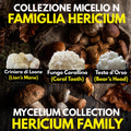 Hericium Collection – 3 Liquid Cultures | Lion's Mane Coral Tooth Bear's Head | Complete Hericium Mushroom Growing Bundle
