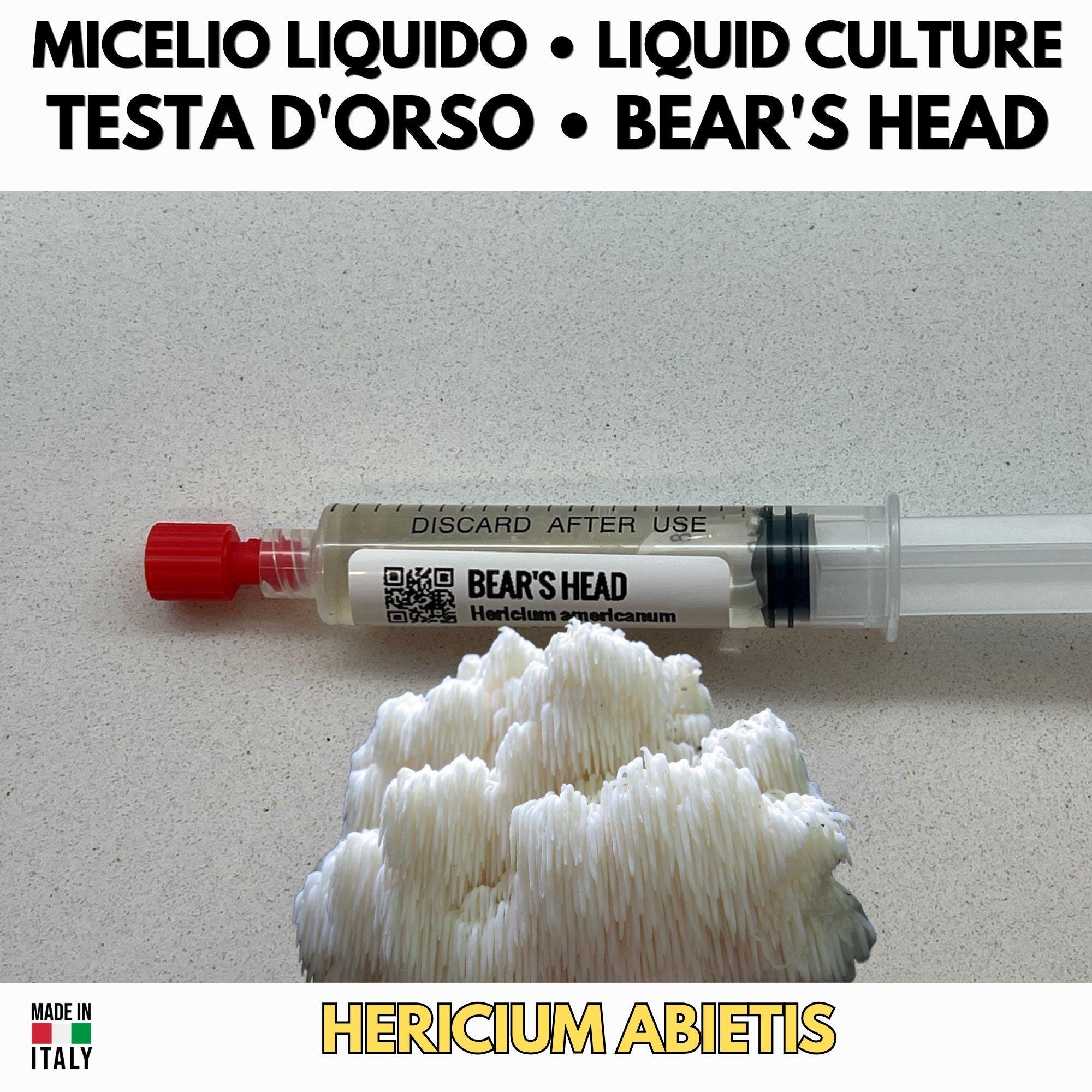 Hericium Collection – 3 Liquid Cultures | Lion's Mane Coral Tooth Bear's Head | Complete Hericium Mushroom Growing Bundle