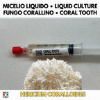 Hericium Collection – 3 Liquid Cultures | Lion's Mane Coral Tooth Bear's Head | Complete Hericium Mushroom Growing Bundle