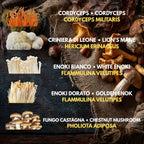 5  Liquid Culture Bundle | Gourmet Mushroom Cultures | 50+ Varieties Available | Premium Mycelium