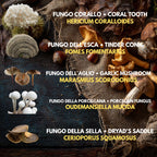 5  Liquid Culture Bundle | Gourmet Mushroom Cultures | 50+ Varieties Available | Premium Mycelium