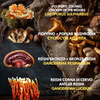 10 Liquid Culture Bundle | Gourmet Mushroom Cultures | 50+ Varieties Available | Premium Mycelium