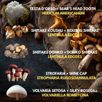 5  Liquid Culture Bundle | Gourmet Mushroom Cultures | 50+ Varieties Available | Premium Mycelium