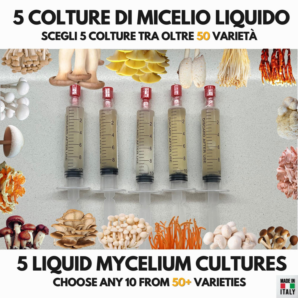 5  Liquid Culture Bundle | Gourmet Mushroom Cultures | 50+ Varieties Available | Premium Mycelium
