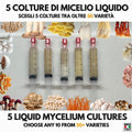 5  Liquid Culture Bundle | Gourmet Mushroom Cultures | 50+ Varieties Available | Premium Mycelium