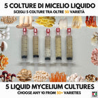 5  Liquid Culture Bundle | Gourmet Mushroom Cultures | 50+ Varieties Available | Premium Mycelium