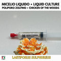 Laetiporus sulphureus Liquid Culture • Chicken of the Woods • Sulphur Polypore Mycelium