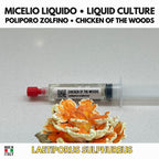 Laetiporus sulphureus Liquid Culture • Chicken of the Woods • Sulphur Polypore Mycelium
