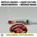 Reishi Bronze Ganoderma polychromum - Coltura Liquida Premium 10ml
