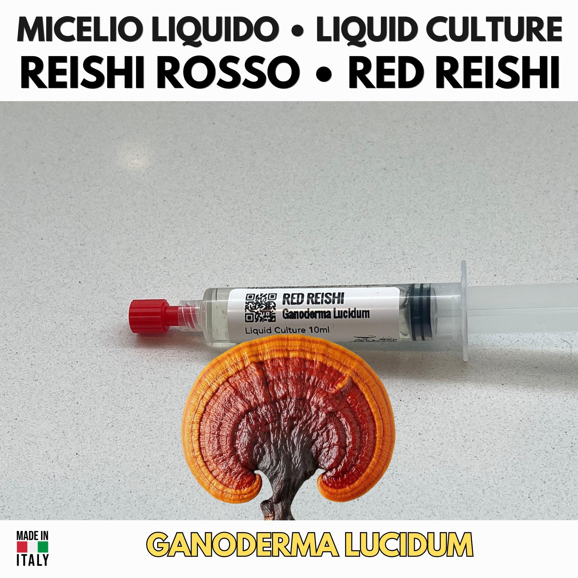 Coltura Liquida Reishi Rosso | Ganoderma lucidum Premium