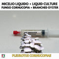 Pleurotus cornucopiae Liquid Culture • Branched Oyster Mushroom • Gourmet Cultivation LC