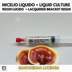 Coltura Liquida Reishi Lucido | Ganoderma resinaceum | Micelio