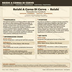 Coltura Liquida Reishi Lucido | Ganoderma resinaceum | Micelio
