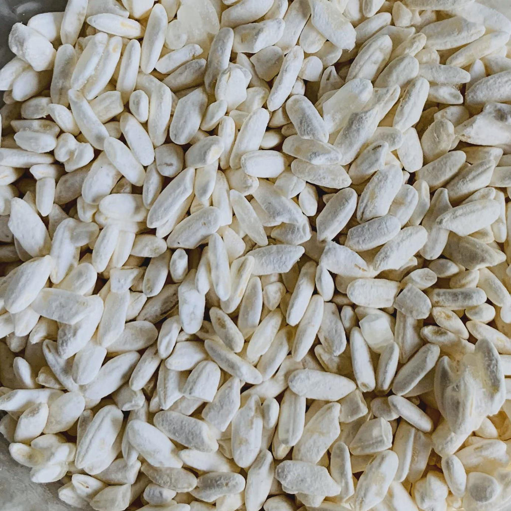White Koji Aspergillus oryzae Fully Colonized Petri Dish Culture Premium Fermentation Starter