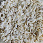 White Koji Aspergillus oryzae Fully Colonized Petri Dish Culture Premium Fermentation Starter