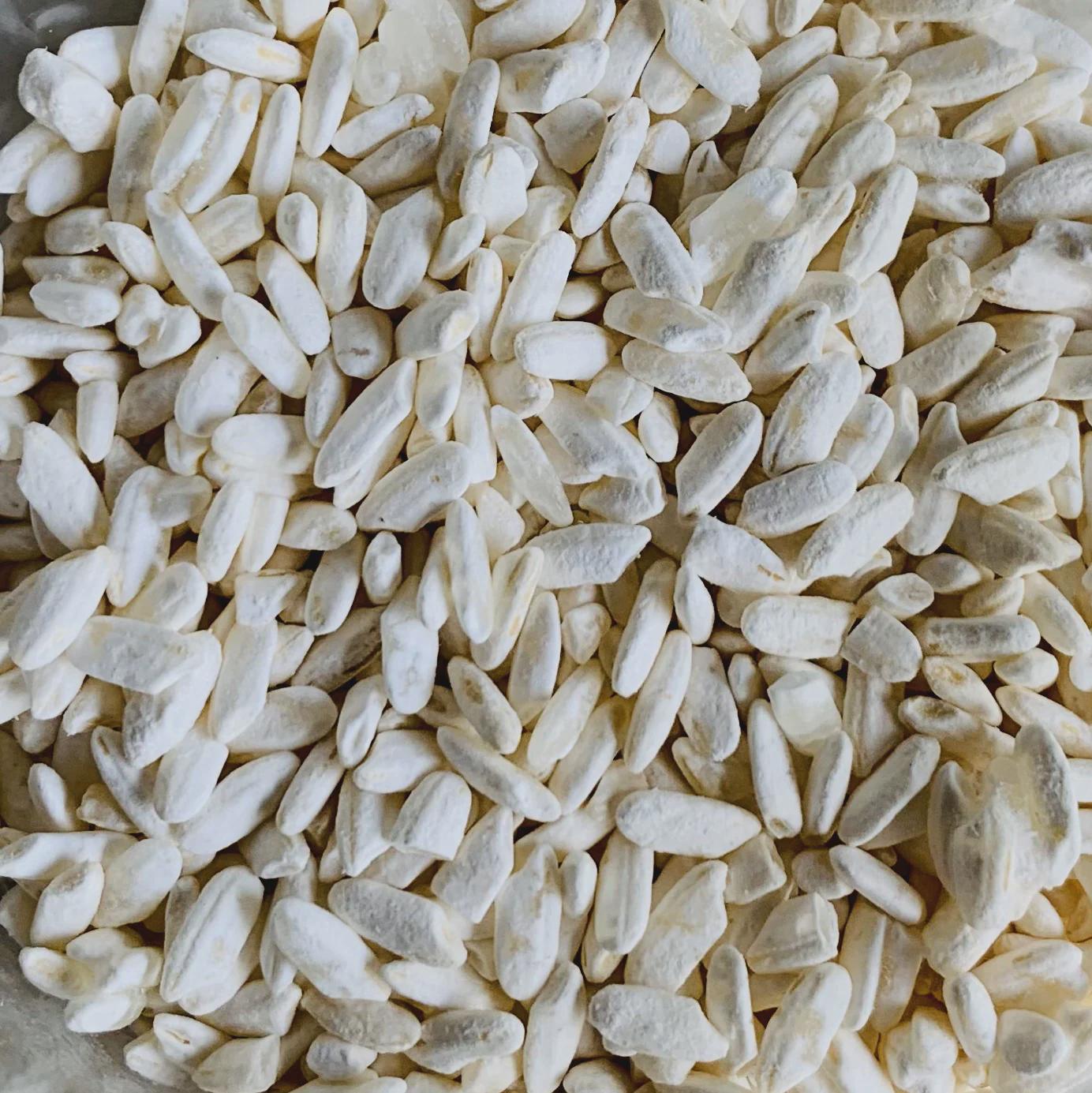 White Koji Aspergillus oryzae Fully Colonized Petri Dish Culture Premium Fermentation Starter