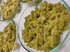 Green Proteo Koji Slant • Aspergillus oryzae Proteolytic Strain • Agar Culture for Garum & Meat Koji