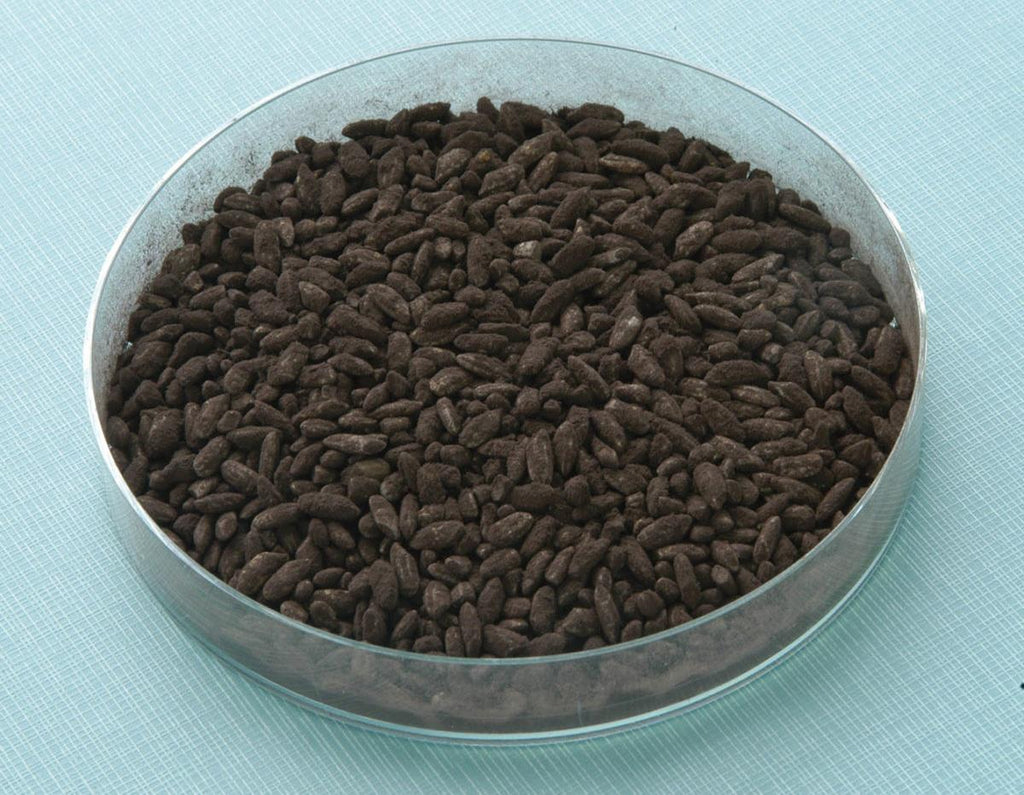 Kuro koji Aspergillus Luchuensis Spores – Premium Slant Culture for Fermentation
