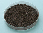 Kuro koji Aspergillus Luchuensis Spores – Premium Slant Culture for Fermentation