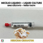 Hericium americanum Liquid Culture | American Tiered Tooth Mushroom | Gourmet Cultivation LC