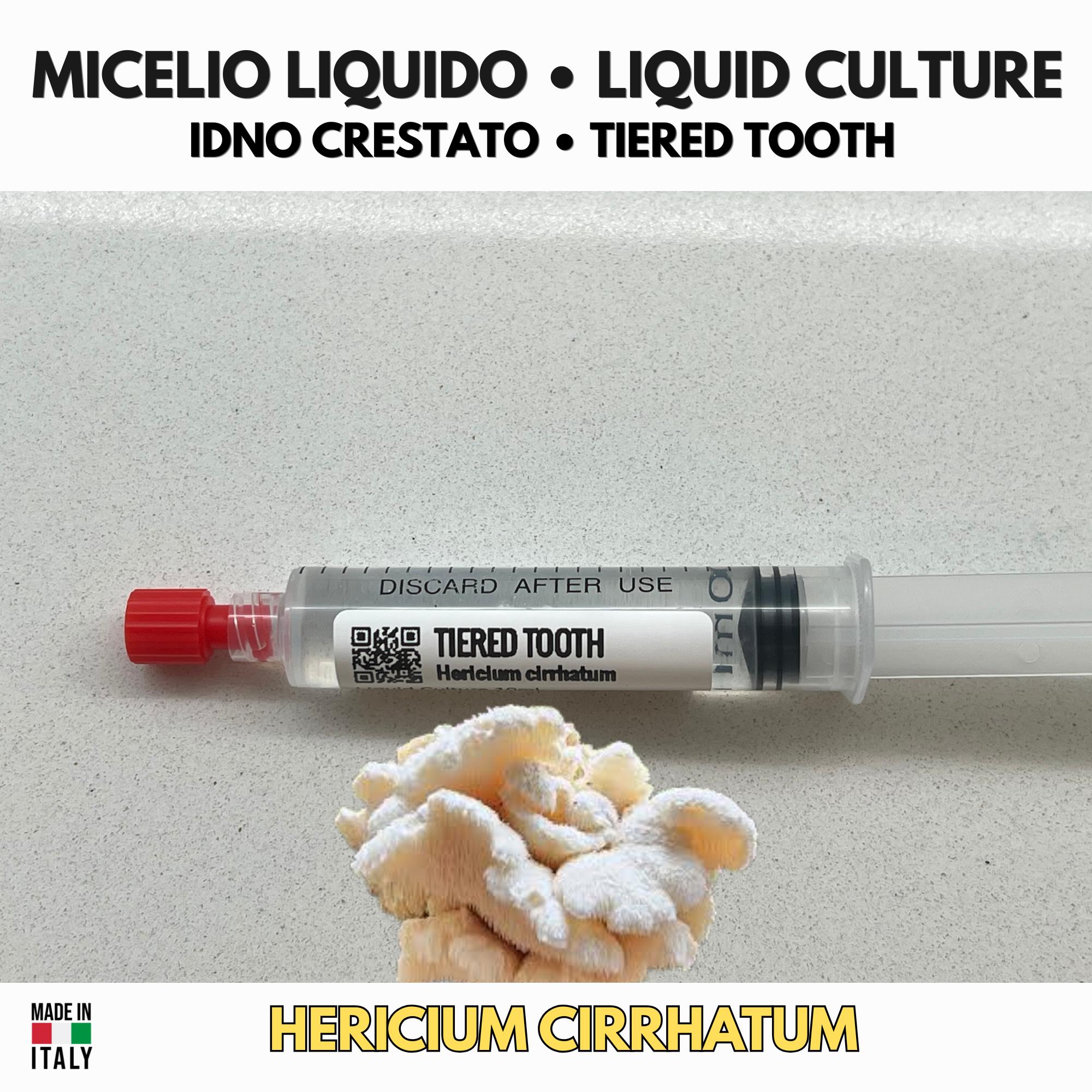 Hericium americanum Liquid Culture | American Tiered Tooth Mushroom | Gourmet Cultivation LC