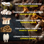 5  Liquid Culture Bundle | Gourmet Mushroom Cultures | 50+ Varieties Available | Premium Mycelium