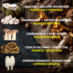 10 Liquid Culture Bundle | Gourmet Mushroom Cultures | 50+ Varieties Available | Premium Mycelium