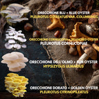 10 Liquid Culture Bundle | Gourmet Mushroom Cultures | 50+ Varieties Available | Premium Mycelium
