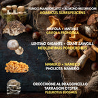 10 Liquid Culture Bundle | Gourmet Mushroom Cultures | 50+ Varieties Available | Premium Mycelium