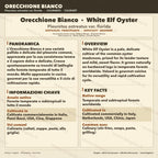 Pleurotus ostreatus var. florida White Oyster Mushroom Liquid Culture 10ml Gourmet Cultivation