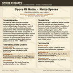 Spore Natto Bacillus subtilis – Slant Agar Fermentazione