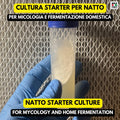 Spore Natto Bacillus subtilis – Slant Agar Fermentazione