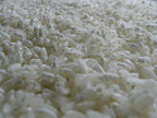 Aspergillus Sojae Slant Agar | Koji per Miso, Shoyu e Soia