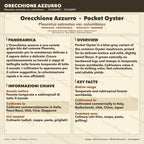 Pleurotus ostreatus Pocket Oyster — Liquid Culture 10ml