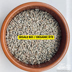 Sterilized Rye Grain Spawn Jar 500g — 1L Bormioli
