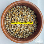 Sterilized Corn Grain Spawn Jar 500g — 1L Bormioli