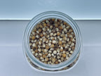 Sterilized Corn Grain Spawn Jar 500g — 1L Bormioli