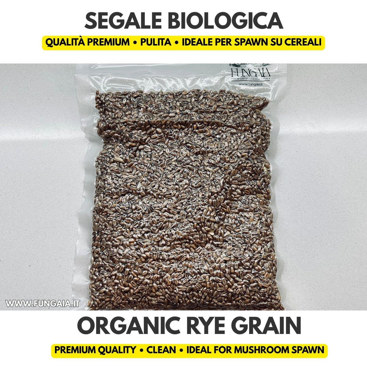 Organic rye grain for mushroom spawn