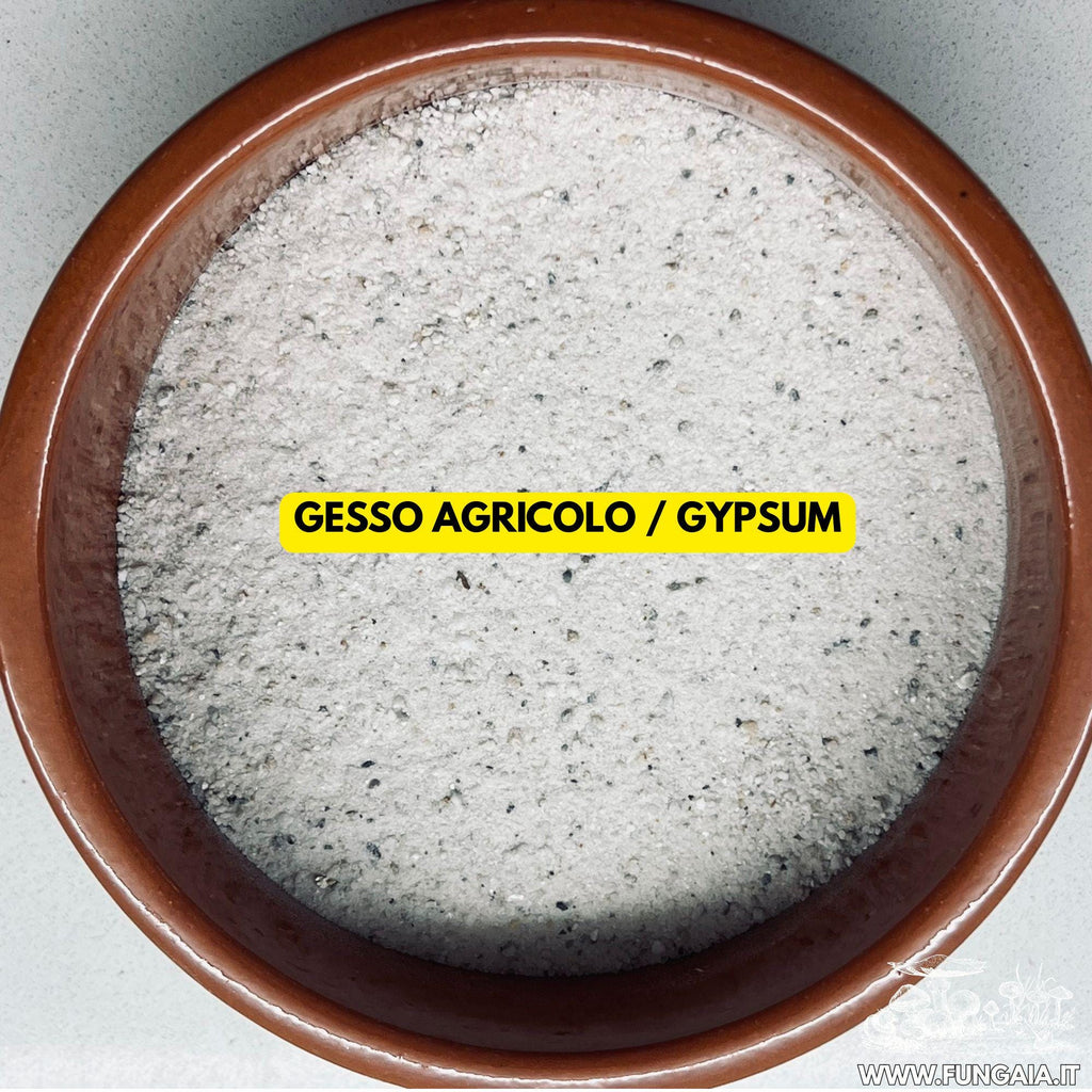 Grain spawn booster jar with gypsum yeast and dextrose